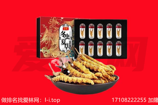 自贡市大安回收虫草.jpg
